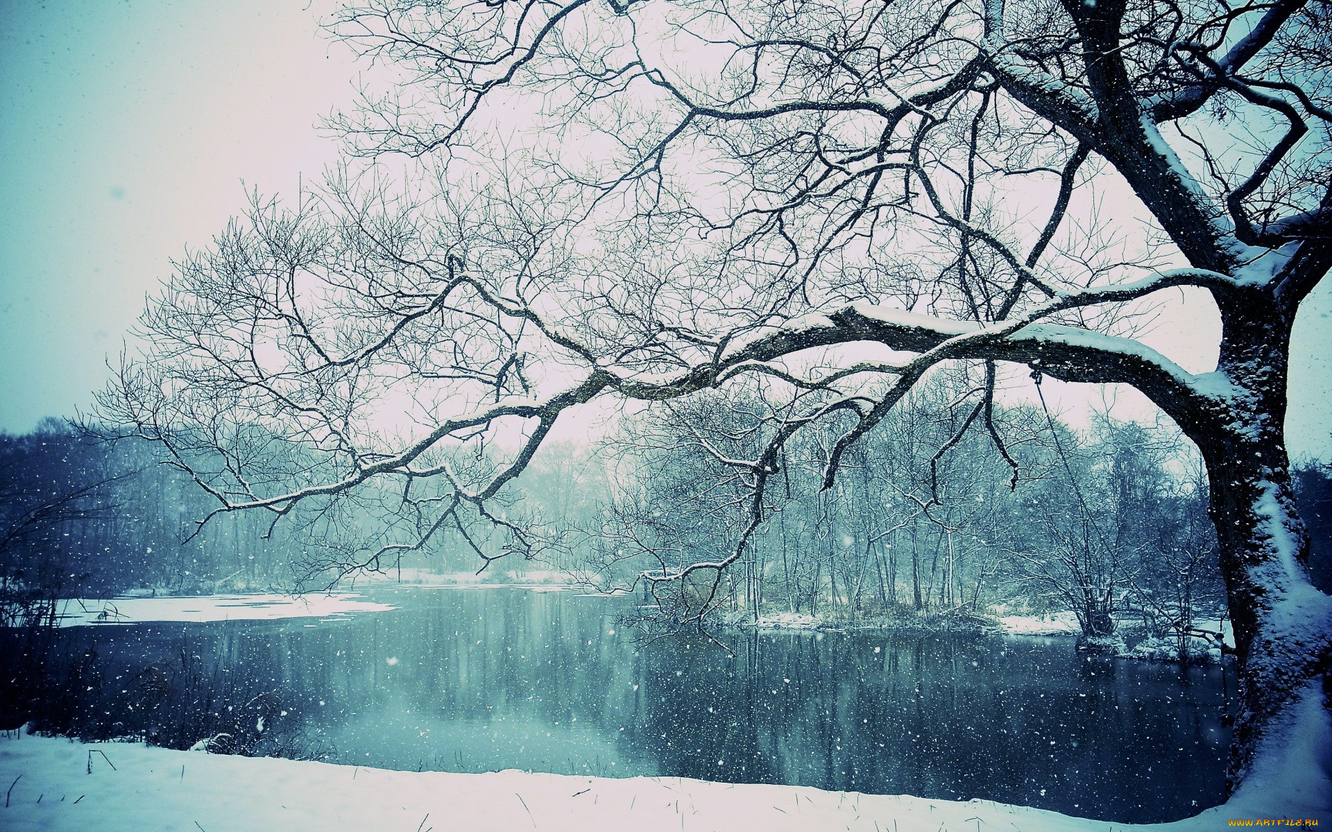 , , lake, winter, , , , snowing, tree